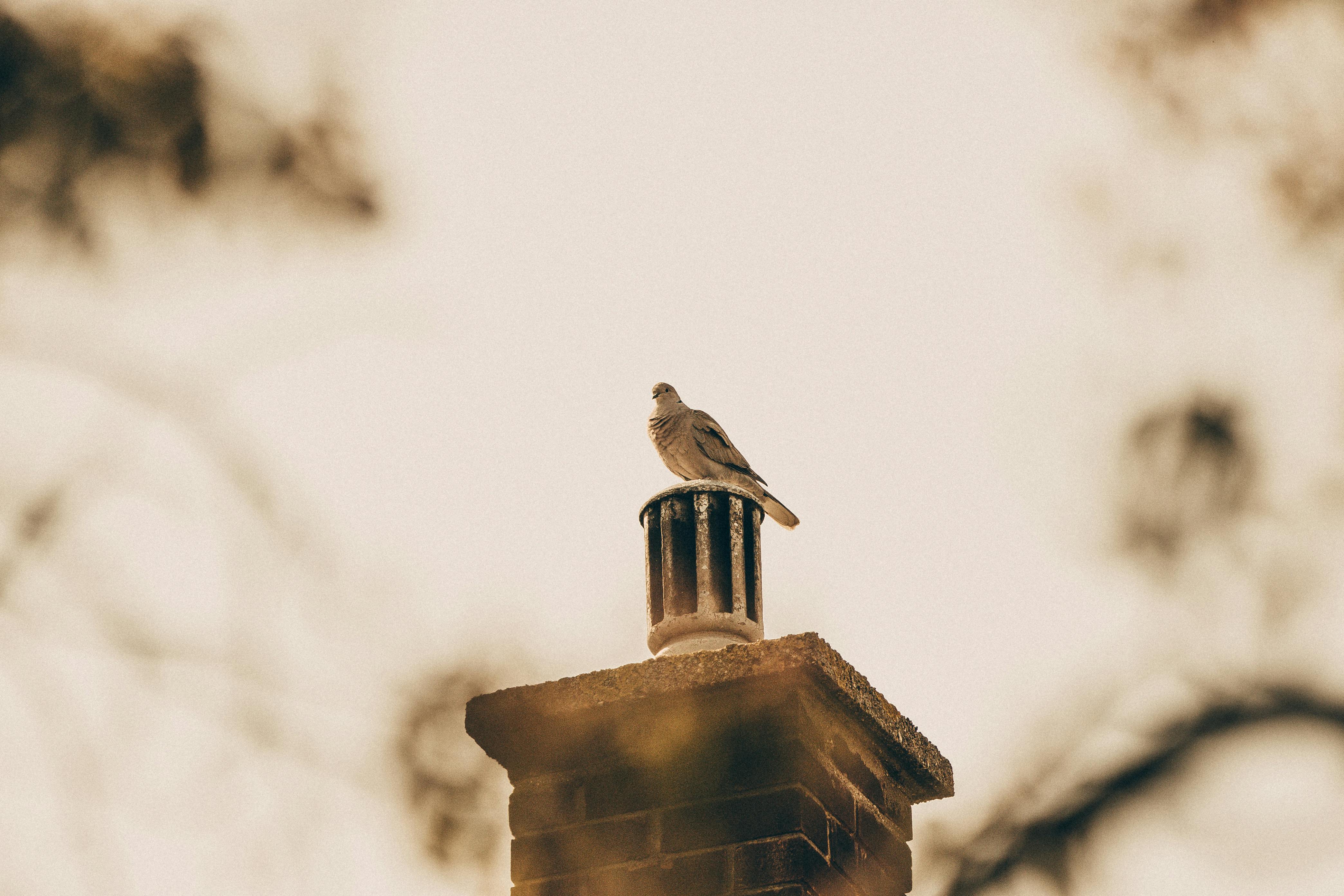 Expert Chimney Cap Installation in Haverhill, Massachusetts